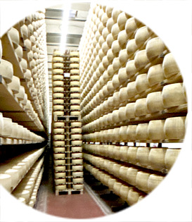 Casos de éxito